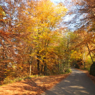 autunno